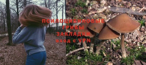 ALPHA PVP Алексеевка