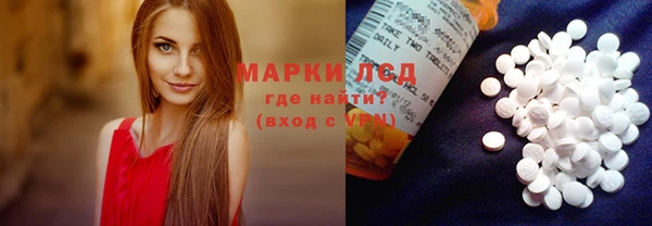 прущие грибы Алзамай