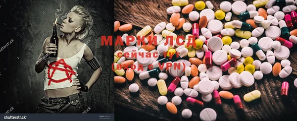прущие грибы Алзамай