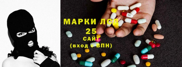 прущие грибы Алзамай