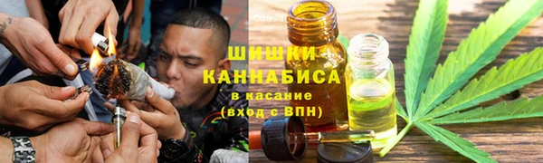 прущие грибы Алзамай